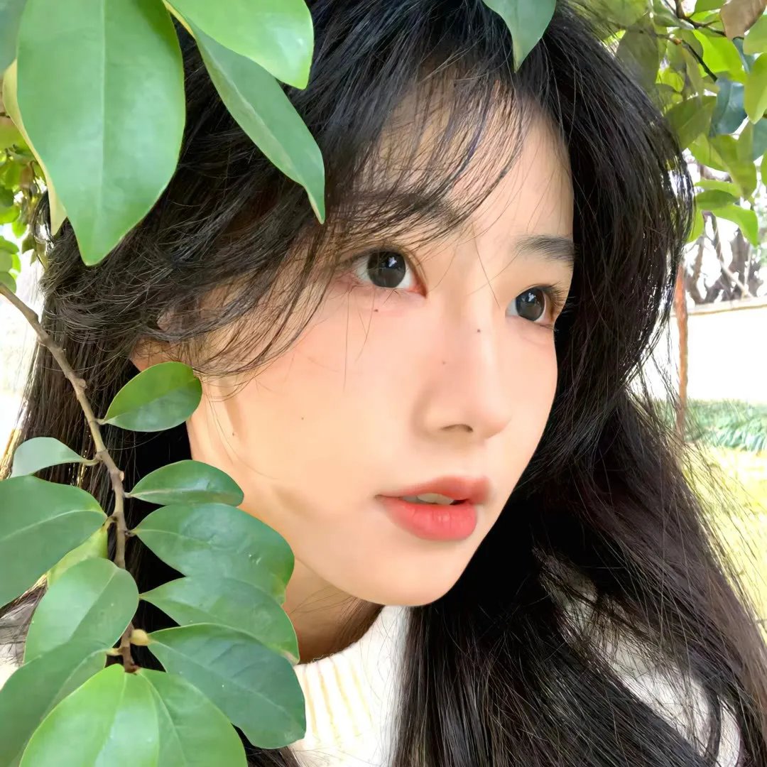 黑莓